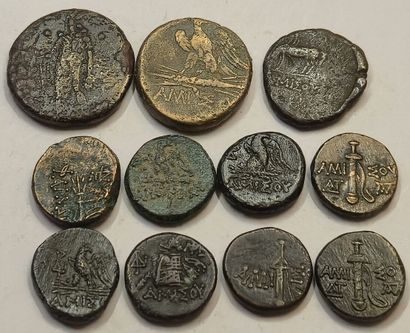 Bridge. Lot of 11 bronzes: Amisos (9), Pharnacia...