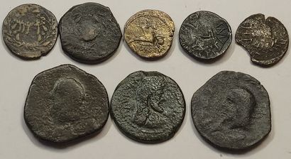 North Africa misc. Lot of 8 bronzes: Hadrematum,...