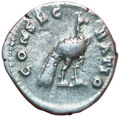 Faustine Fille. Posthumous denarius. R/ CONSECRATIO....
