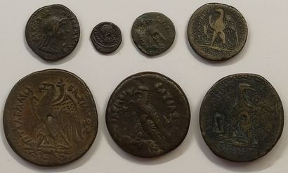 7 bronzes: Ptolemy IV. Various modules from...