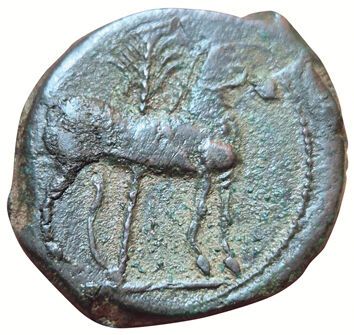 Dishekel (AE). After 241 B.C. A/ Head of...