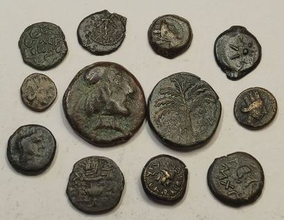 Lot of 12 bronzes: Palestine Judea (8), Seleucia/Tiger...