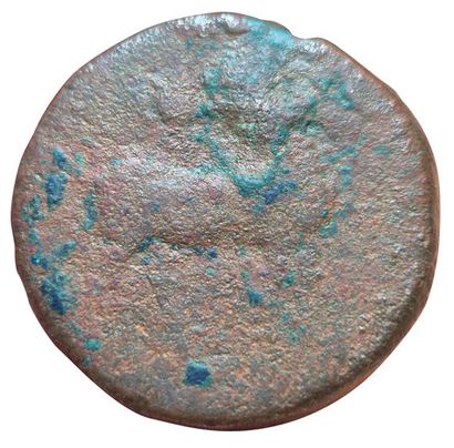 15 Shekels (AE). Circa 201-175 B.C. A/ Head...