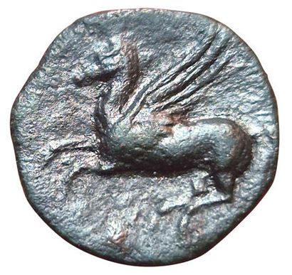 Set of 2 bronzes: 
- AE20 A/ Palm tree R/...
