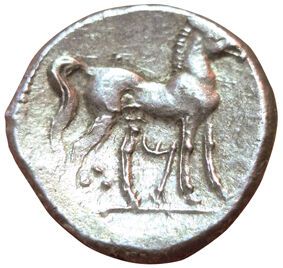 Shekel (AR). Libyan revolt. Circa 241-238...