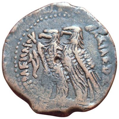 Ptolemy VI Philometor. Tetrobole (AE). Alexandria....