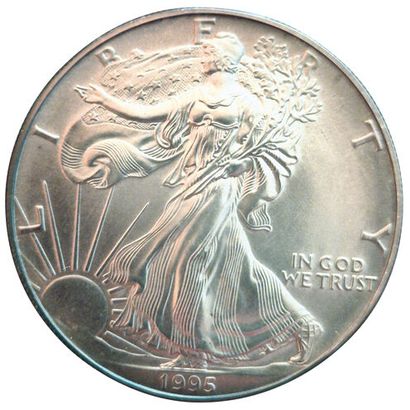 USA. 1 Dollar 1995. Argent. 31,4grs. SPL