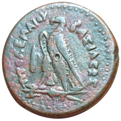 Ptolemy II Philadelphus. Drachma (AE). Tyre....