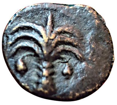 Set of 2 bronzes: 
- AE20 A/ Palm tree R/...