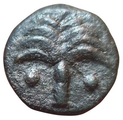 Set of 2 bronzes: 
- AE20 A/ Palm tree R/...