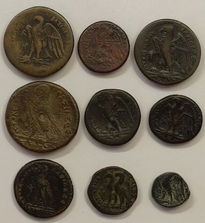 9 bronzes: Ptolemy I (2 ex.), Ptolemy II...