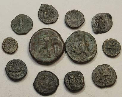 Lot of 12 bronzes: Palestine Judea (8), Seleucia/Tiger...
