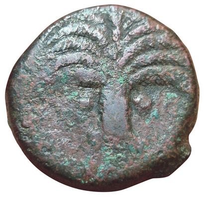 Set of 2 bronzes: 
- Shekel. A/ Palm tree...