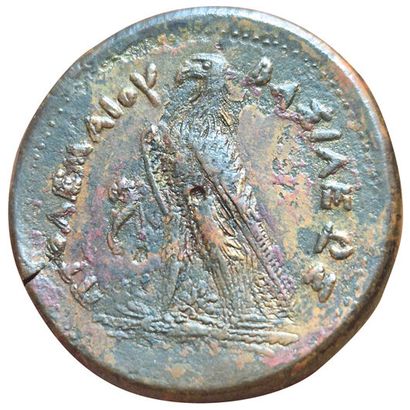 Ptolemy III Evergetes. 246-221 B.C. Drachma...