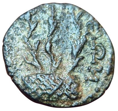 4 coins: 
- Carie. Aphrodisias. Plarasa....