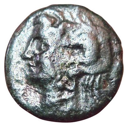 4 coins: 
- Carie. Aphrodisias. Plarasa....