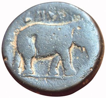 Eastern Massyles. Juba I. Bronze unit. A/...