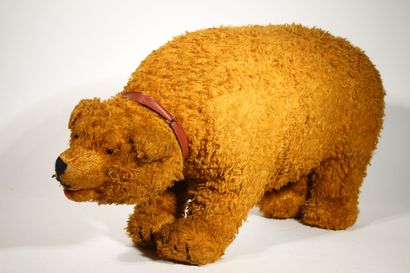 Ours 