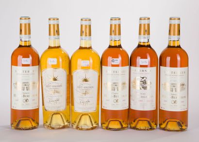 Sauternes CHÂTEAU HAUT BERGERON CUVEE 119
2...