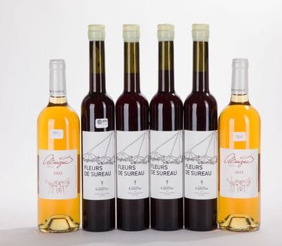 Gaillac CAZOTTE FLEUR DE SUREAU
4 BO, 2022
Gaillac...