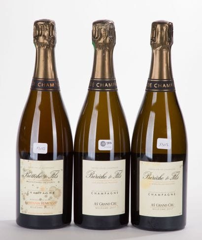 Champagne BERECHE AY Grand Cru
2 BO, 2017,...