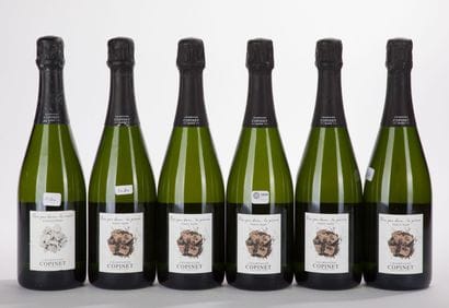 MARIE COPINET Champagne NOS PAS DANS LA PIERRE
5...