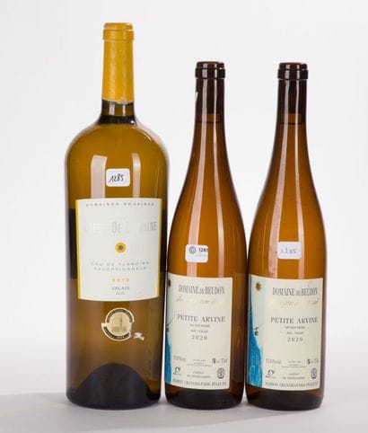 Suisse FULLY BEUDON PETITE ARVINE
2 BO, 2020,...