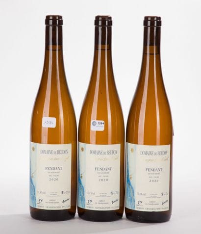 Suisse FULLY BEUDON FENDANT
3 BO, 2020, Blanc,...