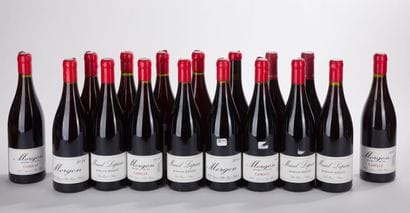 Morgon MORGON MARCEL LAPIERRE
8 BO, 2024,...