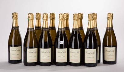 Champagne BERECHE BRUT RESERVE
12 BO, Bl...