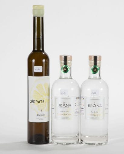 Brandy BRANA CEDRAT DE CORSE Brandy
2 cases
CEDRATS...
