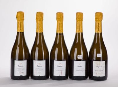 MARIE COURTIN ELOQUENCE EXTRE BRUT Champagne
5...