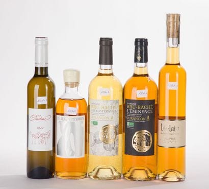 Jurançon DOMAINE BRU-BACHE L'EMINENCE
1 BO,...