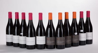 Languedoc DOMAINE DU PAS DE L'ESCALETTE LES...