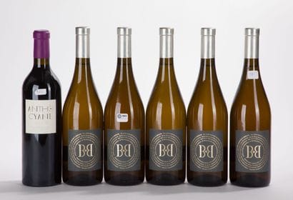 Corbières MAS DES CAPRICES B TO B
5 BO, 2021,...