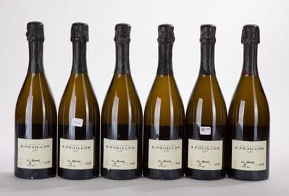 Champagne R. Pouillon Les Valnons Extra Brut
6...