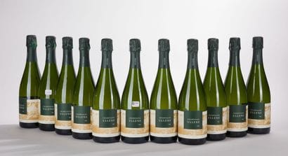 ULLENS BRUT LOT 11 Champagne
11 bottles,...