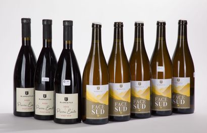 Savoie BLARD FACE SUD
5 BO, 2022, Blanc,...