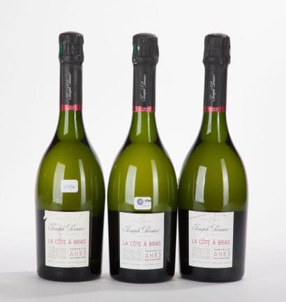 JOSEPH PERRIER COTE A BRAS BRUT NATUR Champagne
3...