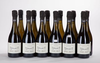 DHONDT-GRELLET TERRES FINES PREMIER CRU BLANC...