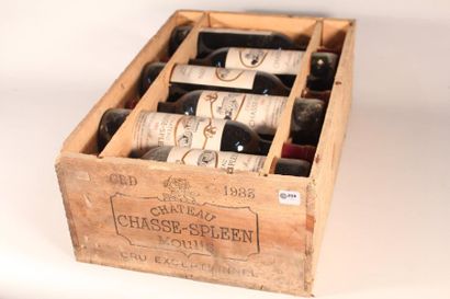 208 

Château Chasse Spleen 1983 

Moulis...