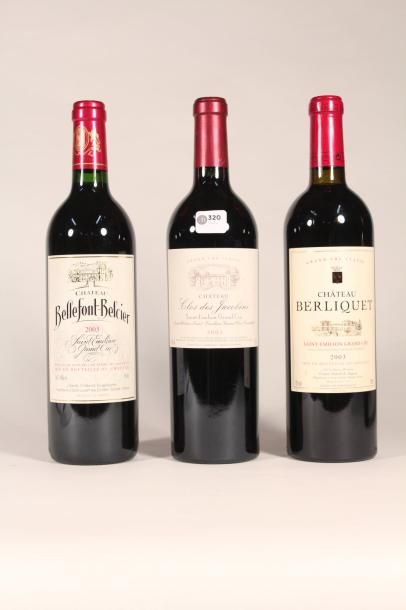 320 

Château Bellefont-Belcier 2003 

Saint...