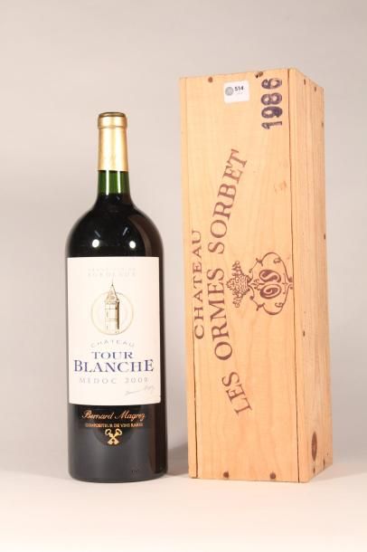 514 

Château Tour Blanche 2009 

Médoc (rouge)...