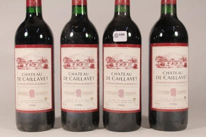 598 

Château De Caillavet 1996 

1eres Cotes...
