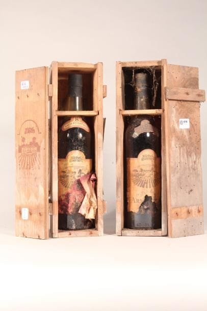 La Rose Pauillac, Pauillac 1984 - 1 Magn...