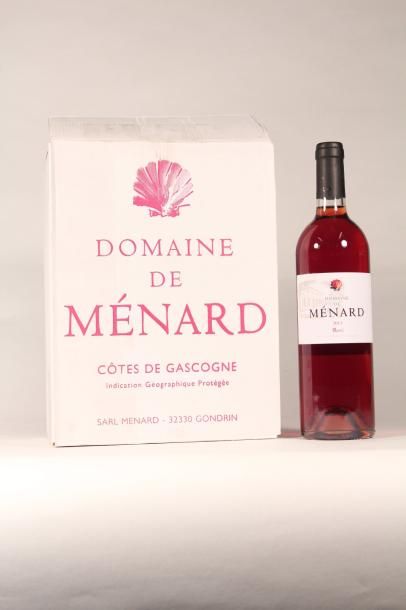 682 

 Menard 2013 

 (rosé) - 12 blles 
