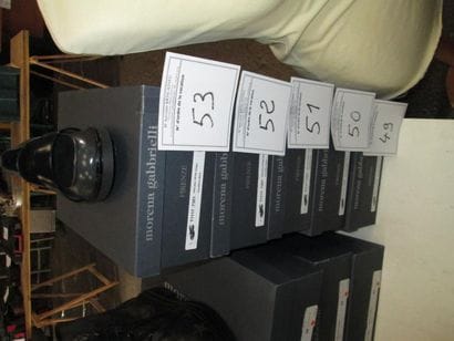 1 paire de chaussures MORENA Gabbrielli DAHUBLO...