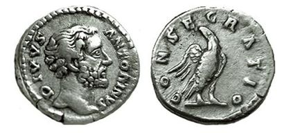 ANTONIN LE PIEUX.
DENIER POSTHUME. 
R/ CONSECRATIO....