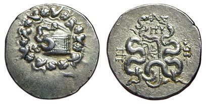 MYSIE. PERGAME.
123-100 av. J.C. Cistophore....