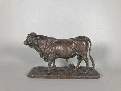 Pierre Jules MENE (1810-1879)

Taureau normand.

Belle...